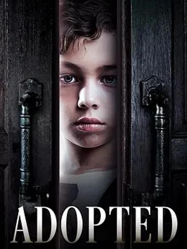 《弃子》：深度剖析跨国领养议题的电影佳作