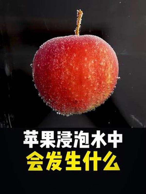 玛雅文明消失之谜：不是 “末日预言”，而是环境与社会崩塌的必然