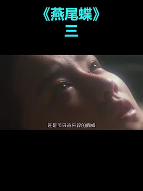 《燕尾蝶》：青空的余烬与告别