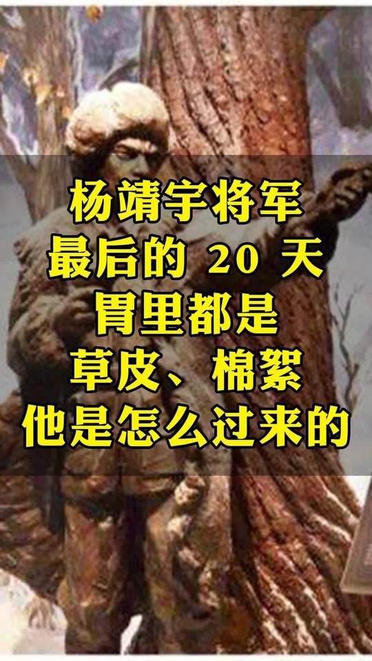 雪原孤胆：杨靖宇将军的最后二十日