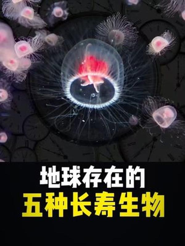 明朝天启大爆炸：2 万吨 TNT 当量的离奇灾难，人畜飞天、衣物无踪，至今成谜