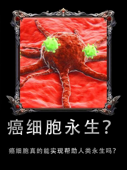 癌细胞的永生悖论