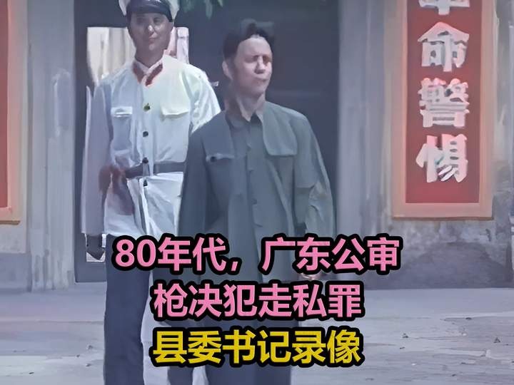 严打风暴：县委书记的死刑之路