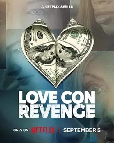 2025美国纪录片网恋诈骗复仇记深度纪实