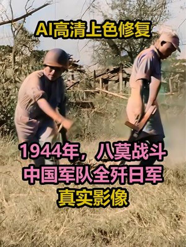 1948 年巴勒斯坦难民潮：一场持续七十余年的 “无家可归” 悲剧