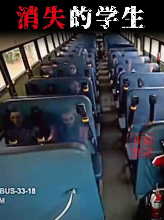 校车消失事件真相揭秘
