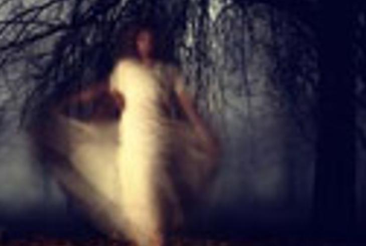 荷兰VanMoof公司假电视包装背后的惊悚运输秘闻