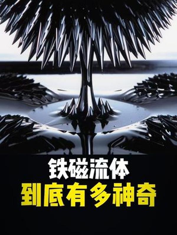 复活节岛石像：矗立千年的 “摩艾”，不是外星造物，而是文明兴衰的见证