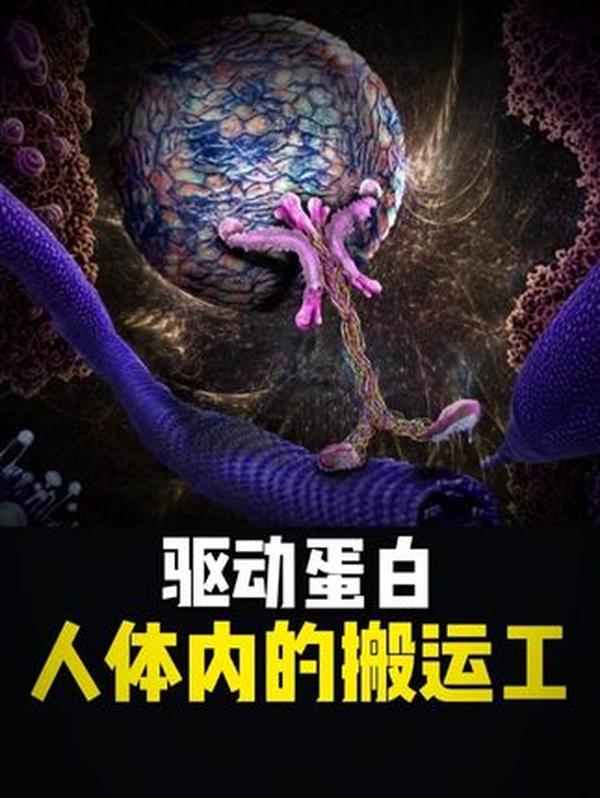 古代科举：跨越千年的人才选拔制度，寒门学子的逆袭之路