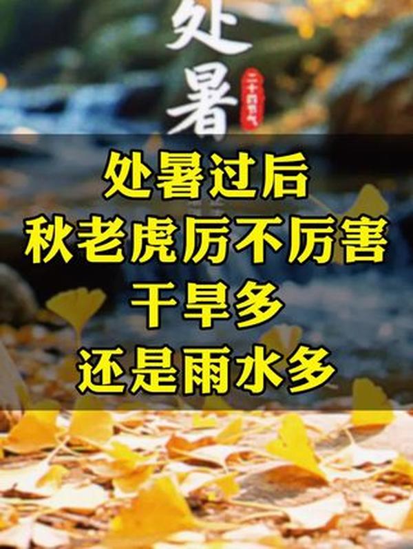 处暑将至：今年是秋老虎还是下山虎？后续天气与养生指南