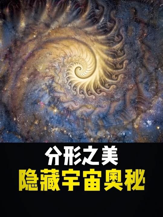 一维直线折叠出的宇宙密码