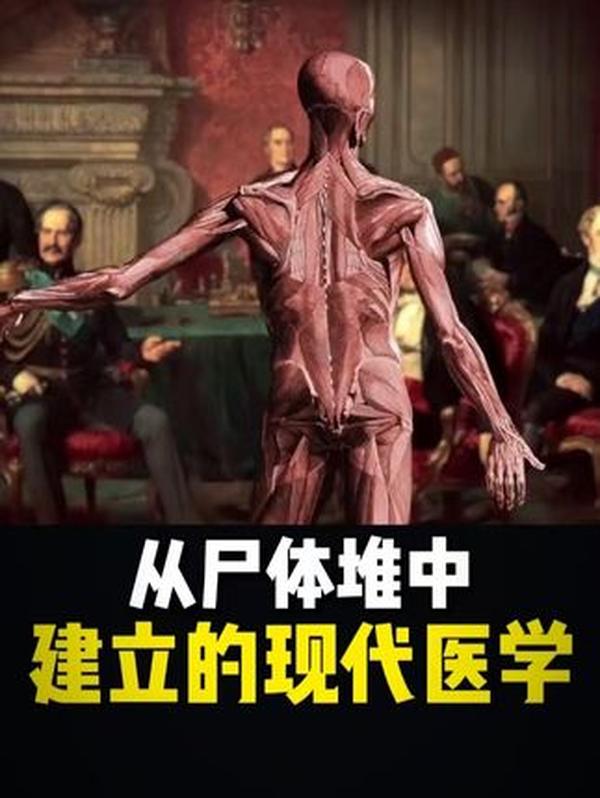 撒哈拉沙漠下的秘密：史前绿洲文明遗迹，揭开千年生态变迁之谜