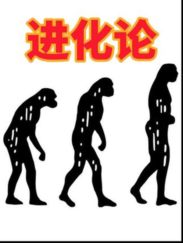 故宫冷宫真相：并非固定宫殿，藏着明清皇室的悲凉往事