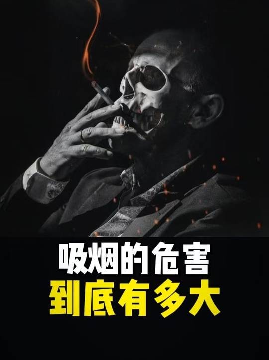 香烟背后的生命代价