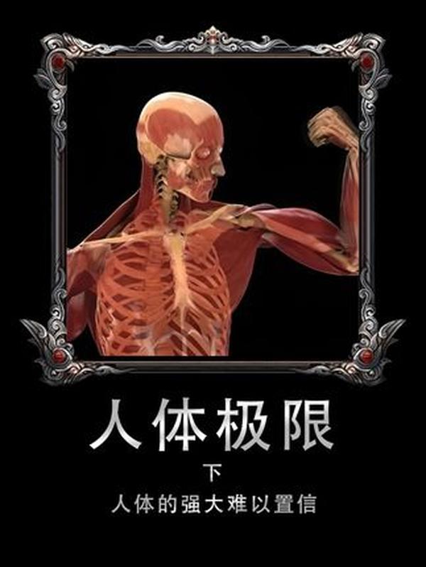 古代‘快递’有多快？驿站：撑起王朝物流的‘生命线’