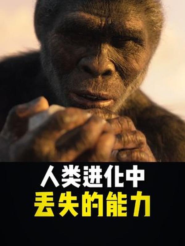 长沙会战：五载浴血卫华中，一寸山河一寸血