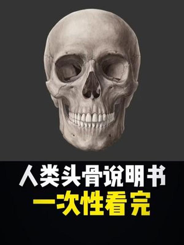 神农架 “野人”：流传半个世纪的传说，为何始终找不到实锤证据？