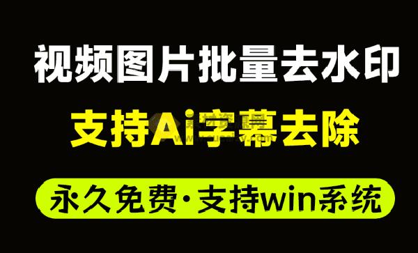 Ai视频图片批量去水印工具，支持字幕水印去除，支持批量添加去除图片视频水印，自媒体神器！水印管家