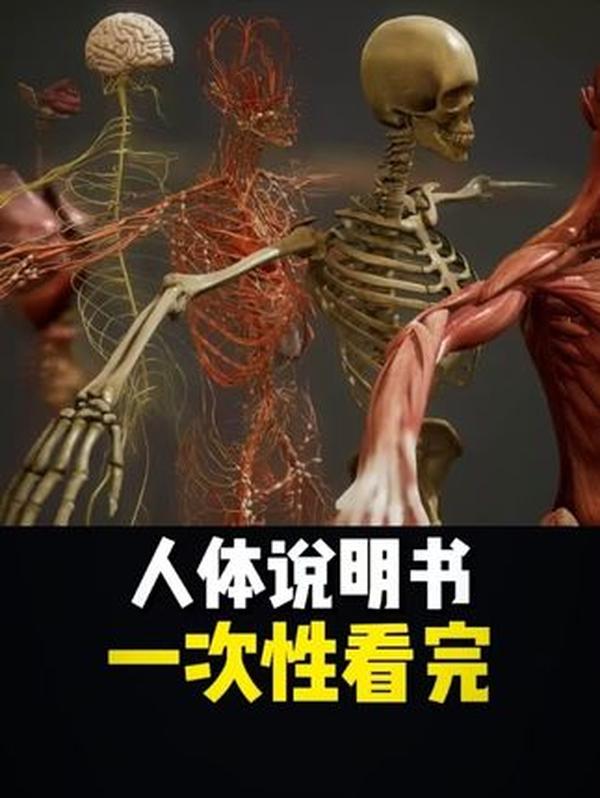 三星堆青铜神鸟：3000 年前的 “太阳使者”，展翅欲飞、纹饰精美，藏着古蜀人的图腾信仰