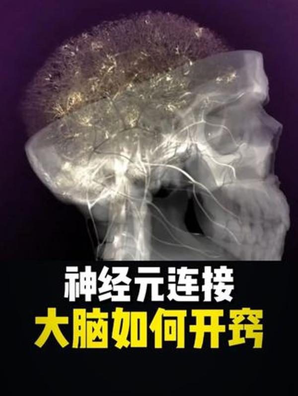 东方巨响！中国第一颗原子弹研发背后的热血征程