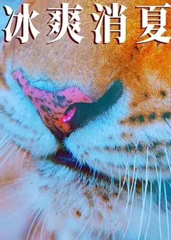 《寒冰白血》：冰雪世界中的悬疑探秘