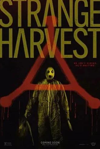 怪奇收割超自然谋杀2024伪纪录恐怖片看点解析