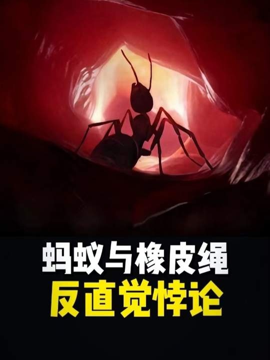 蚂蚁与橡皮绳的悖论