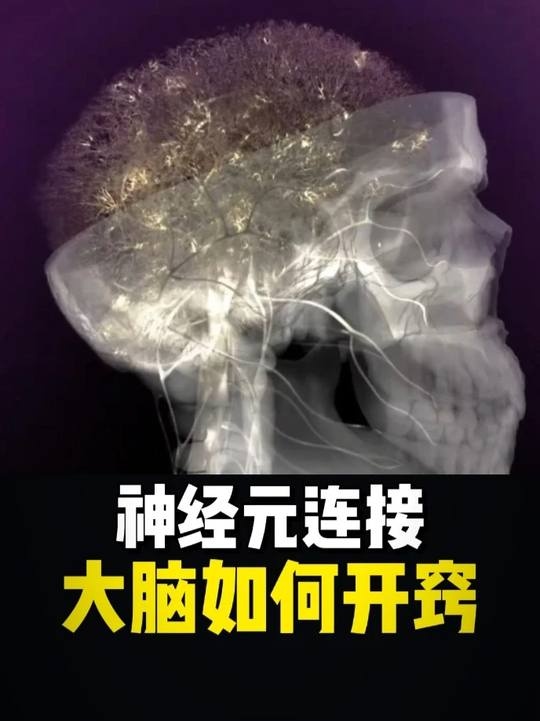 大脑开窍的奥秘