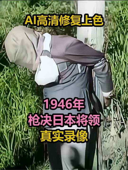 正义终至：辅野新平伏法纪实