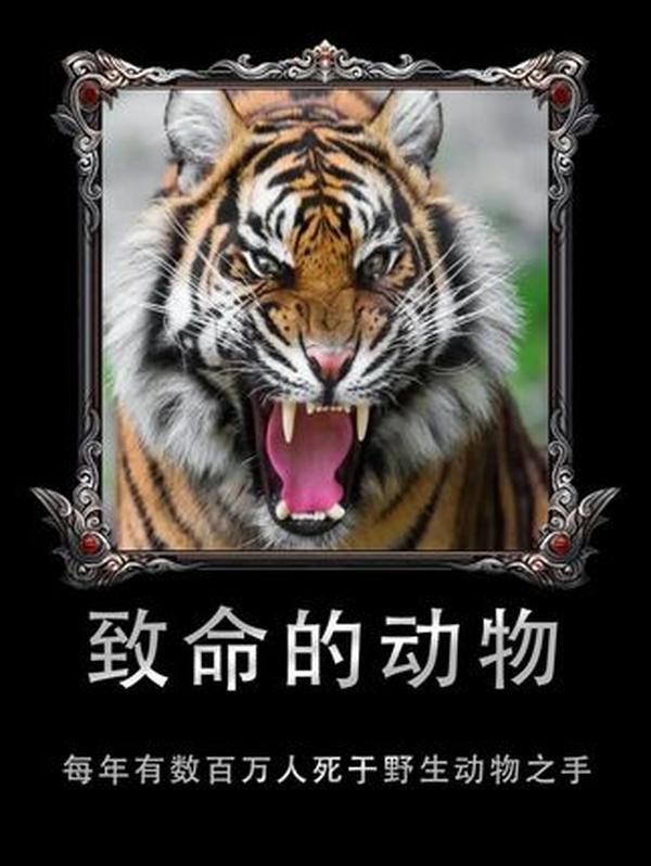 郑和宝船：比哥伦布船大 3 倍的‘海上巨无霸’，为何没能改变世界？