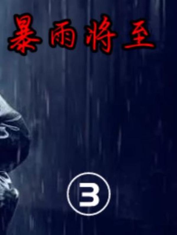 《暴雨将至》：执念与遗憾交织的罪案悲歌