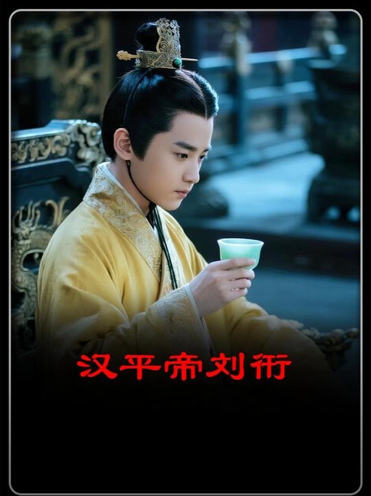 汉平帝刘衎：被权谋吞噬的少年天子