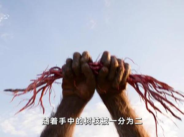 《狮子王》狮子王：生命轮回里的荣耀与救赎