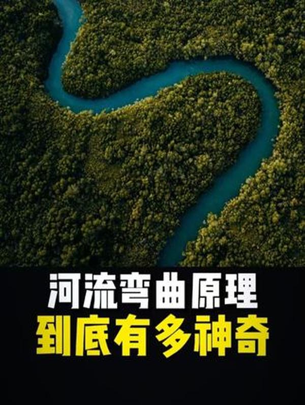 1948 年淮海战役碾庄圩歼灭战影像：围歼黄百韬兵团的血色战场与战局转折点