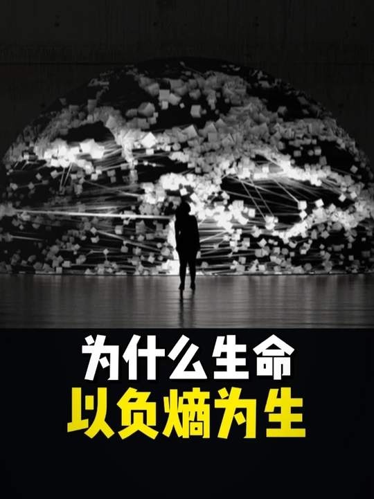 熵增定律：宇宙与生命的终极法则