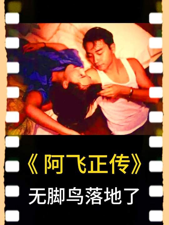 《阿飞正传》阿飞正传：无脚鸟的坠落与谎言迷宫