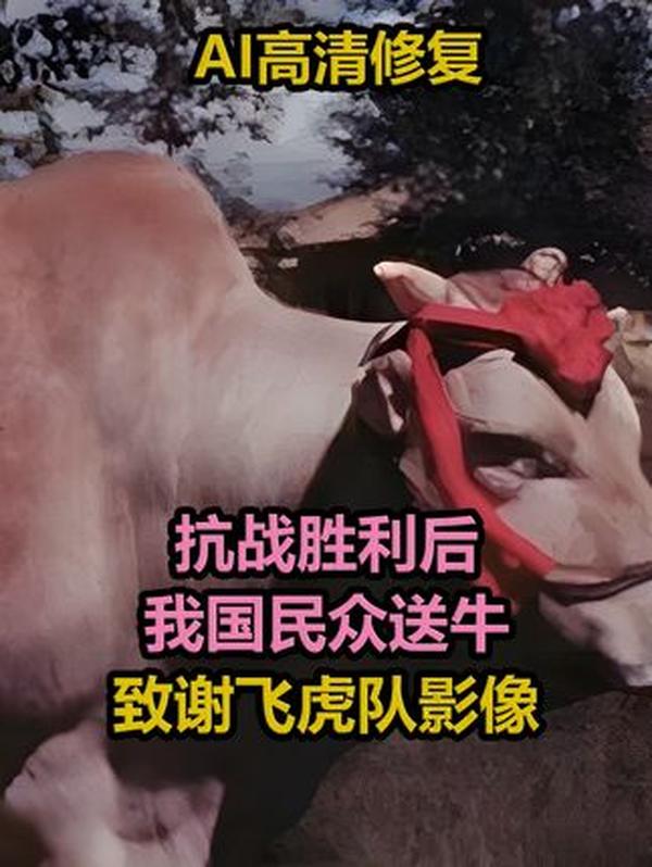 飞虎队：中美并肩抗战的热血传奇