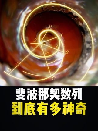 斐波那契数列：自然与宇宙的数学密码