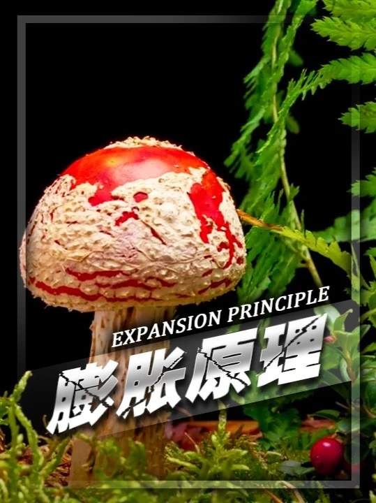 男性生理结构的奥秘