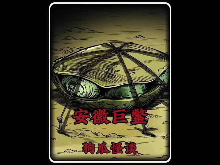 安徽巨鳖事件解密档案