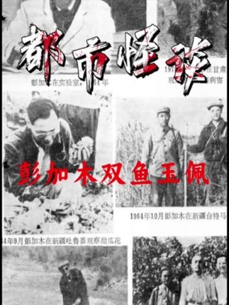 彭加木失踪与双鱼玉佩秘闻