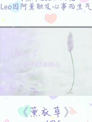 《薰衣草》烟火中的心声