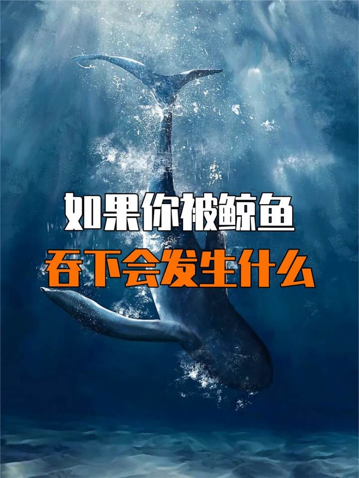 鲸口余生：深海巨兽体内的绝命之旅