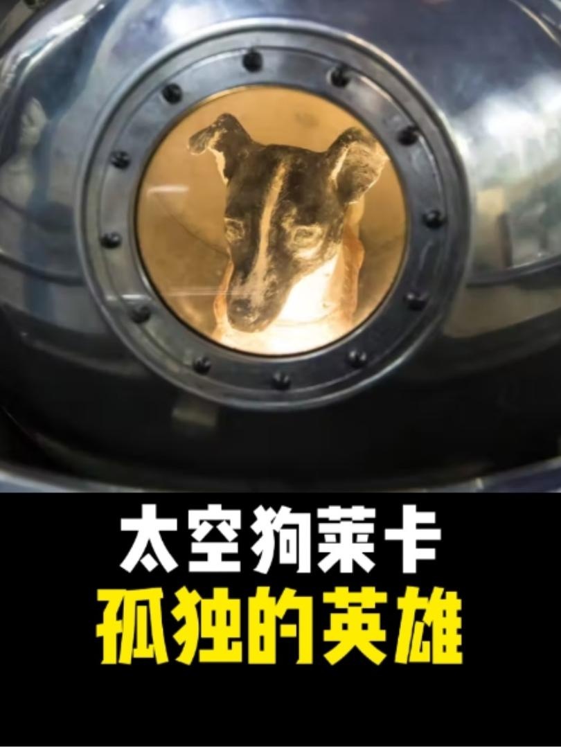 太空英雄莱卡：一只流浪狗的永恒献祭