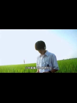 麦田里的莉莉周