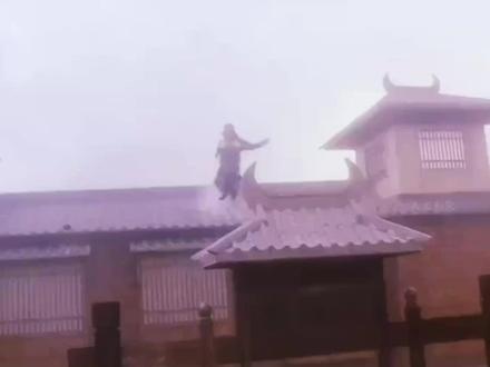 《新仙鹤神针》曹雄霸业：武林盟主梦碎记