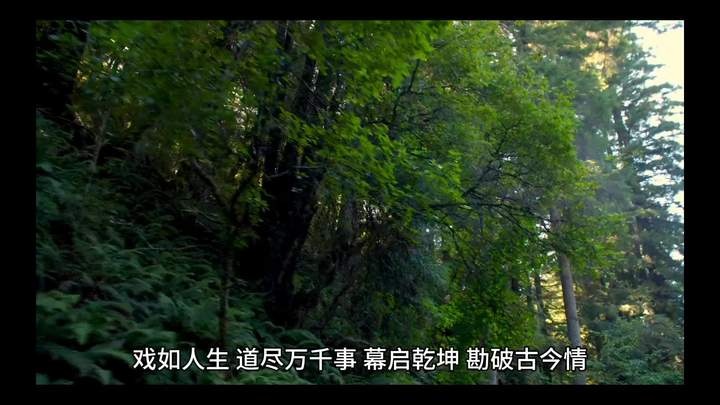 《阿飞正传》《阿飞正传》：时间灰烬中的香港寓言