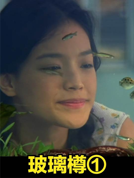 《玻璃樽》漂洋过海遇见爱