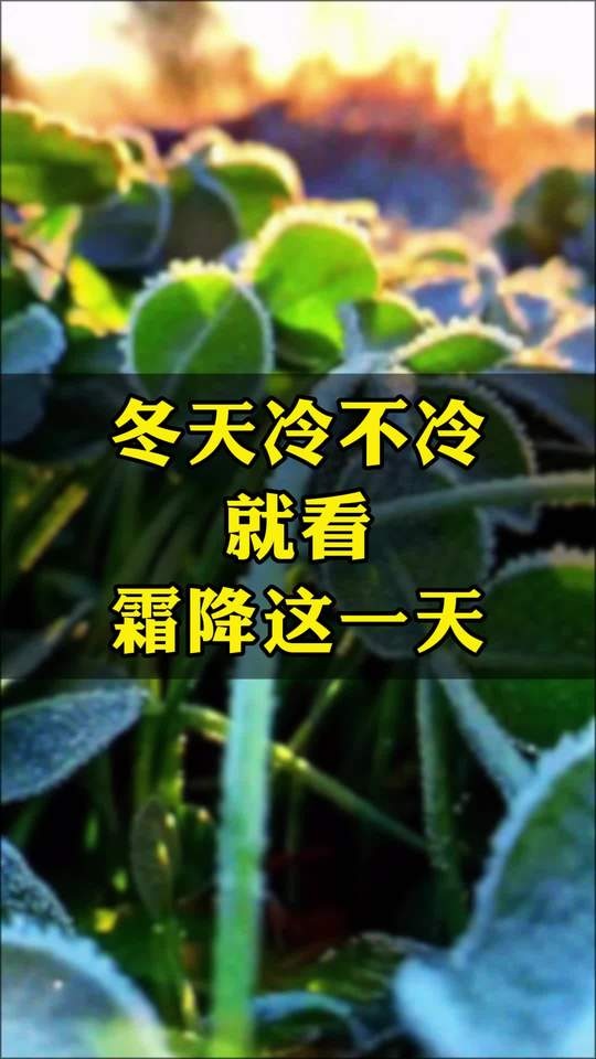 霜降早至寒意浓，养生御冬正当时