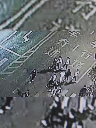 《新古惑仔之少年激斗篇》野狼独行